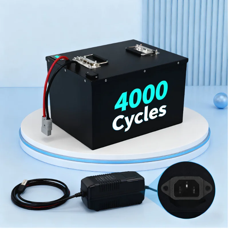 LIFEPO4 Battery Pack with BMS  - огляд і ціна 72V 40Ah Lifepo4 Battery Pack